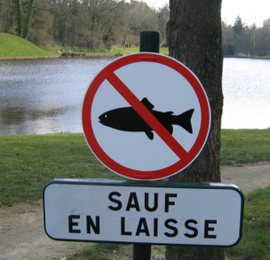 Panneau: interdit aux poissons sauf en laisse