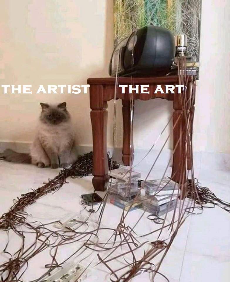 The artist (cat). The art.