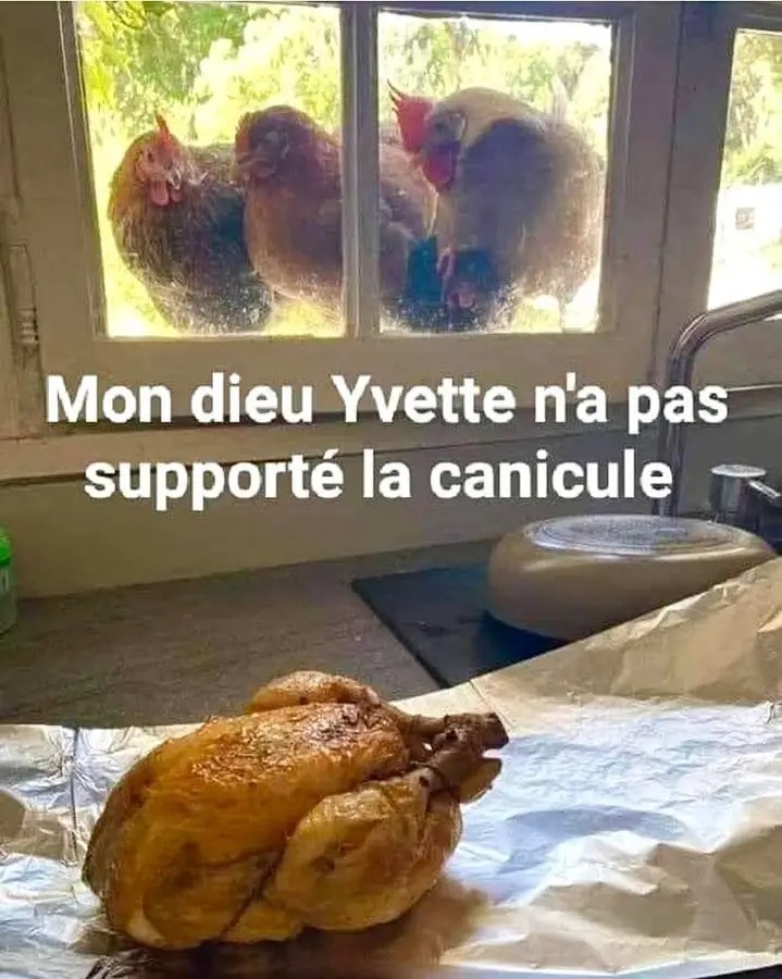 Humour images Comiques Dr les La Canicule La Chaleur L Immunit fr Humour images Comiques Dr les La Canicule La Chaleur L Immunit fr