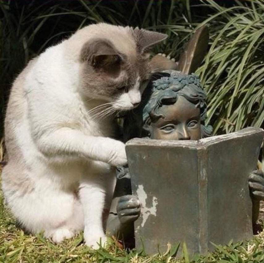 Un chat qui lit avec une statue.