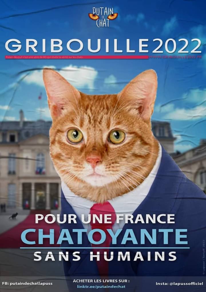 Affiche électorale: candidat Gribouille (le chat) pour une France chatoyante.