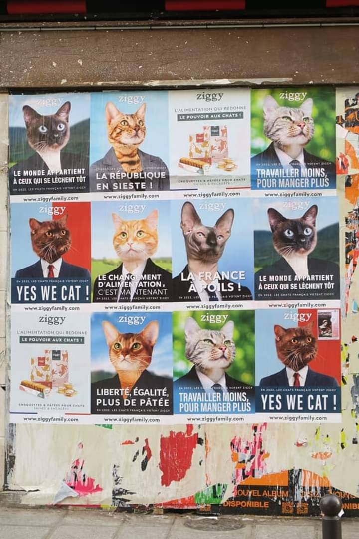 Affiches électorales: tous les candidats (en version chats).