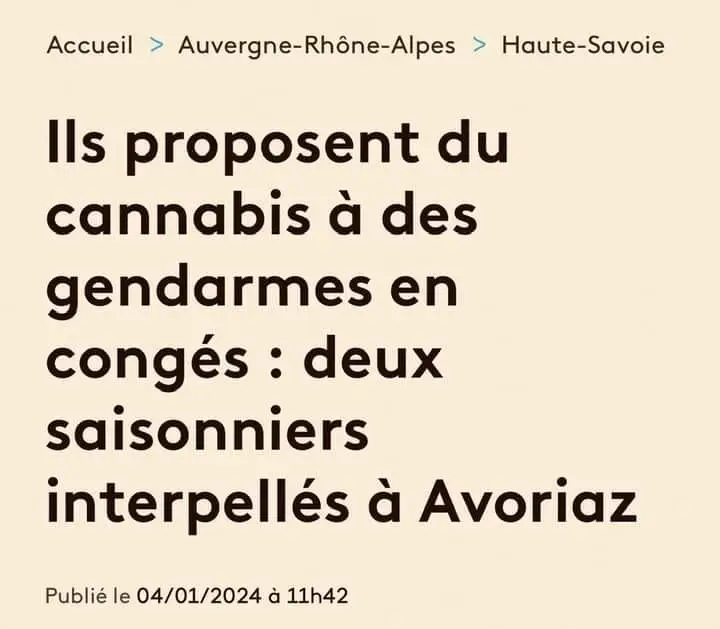 Ils proposent du cannabis à des gendarmes en congés: deux saisonniers interpellés.