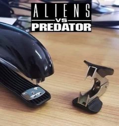 Alien vs Predator.