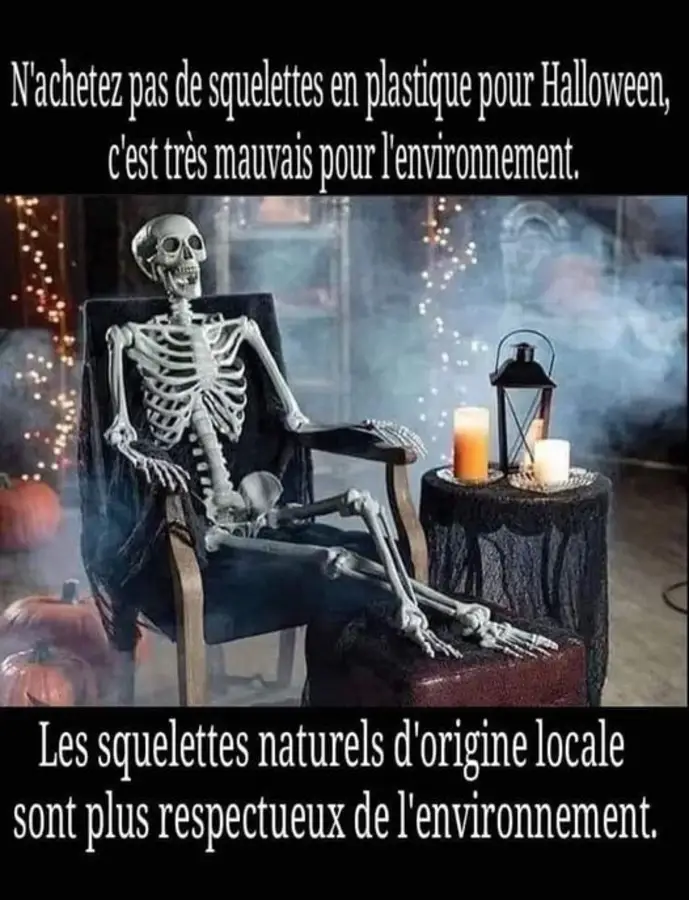 N'achetez pas de squelettes en plastique pour Halloween c'est très mauvais pour l'environnement