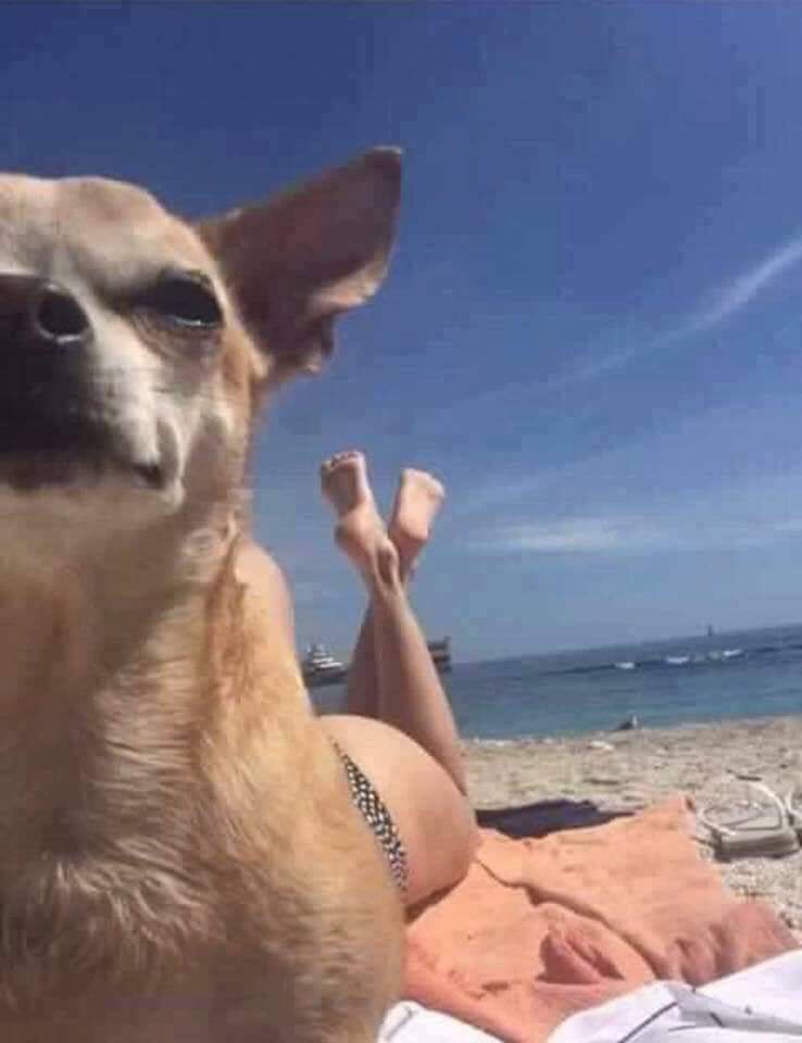 Femme-chien à la plage.