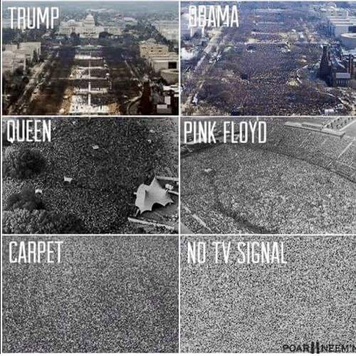 Trump, Obama, Queen, Pink Floyd, Carpet, No Signal TV.