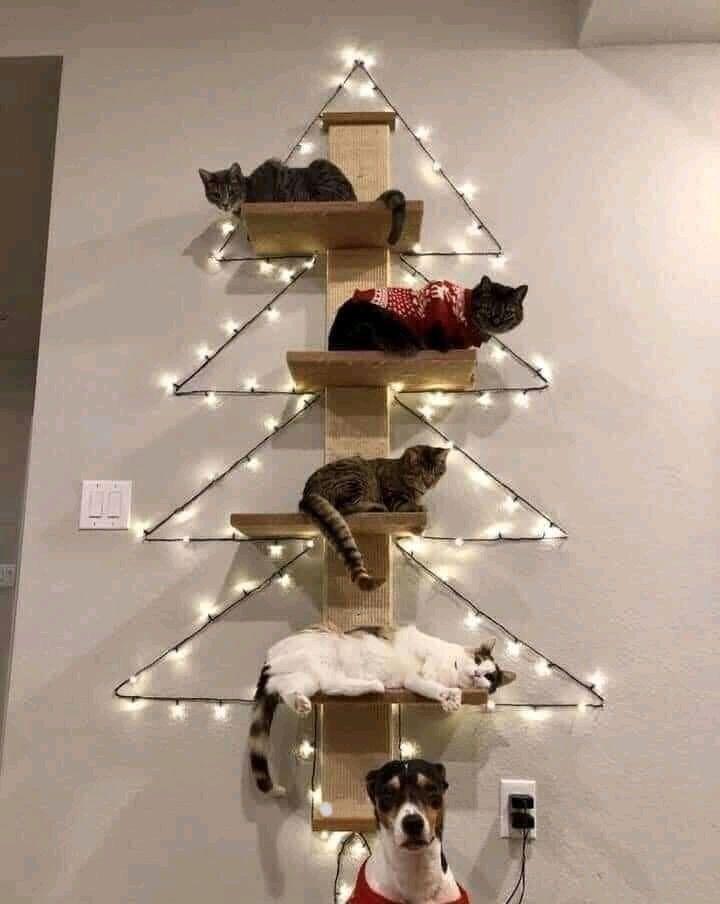 Arbre à chat(s) de Noël.