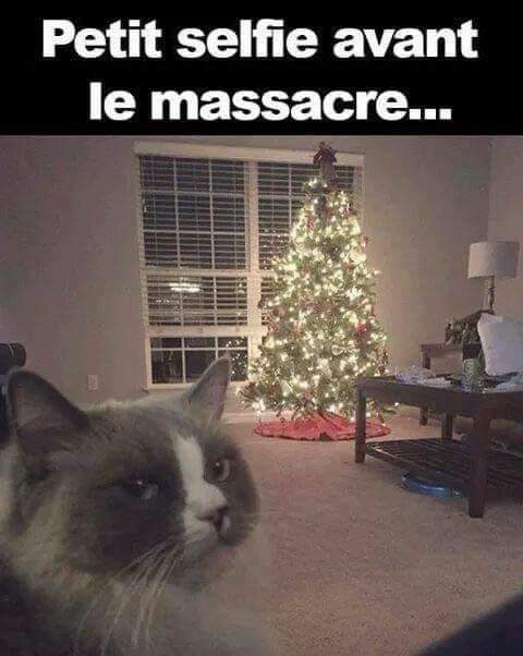 Sapin de Noël. Petit selfie avant le massacre.