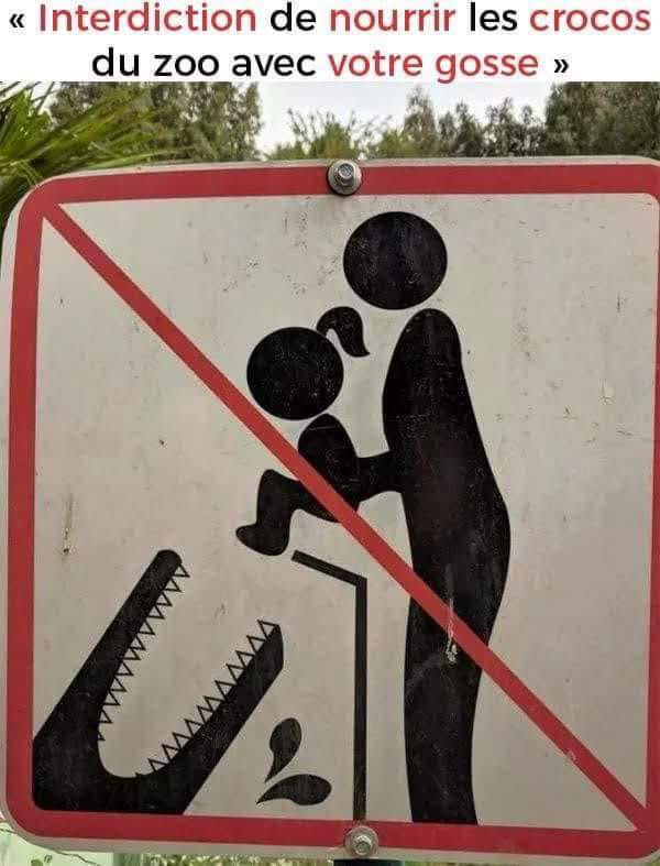 Interdiction de nourrir les crocodiles du zoo avec votre enfant.