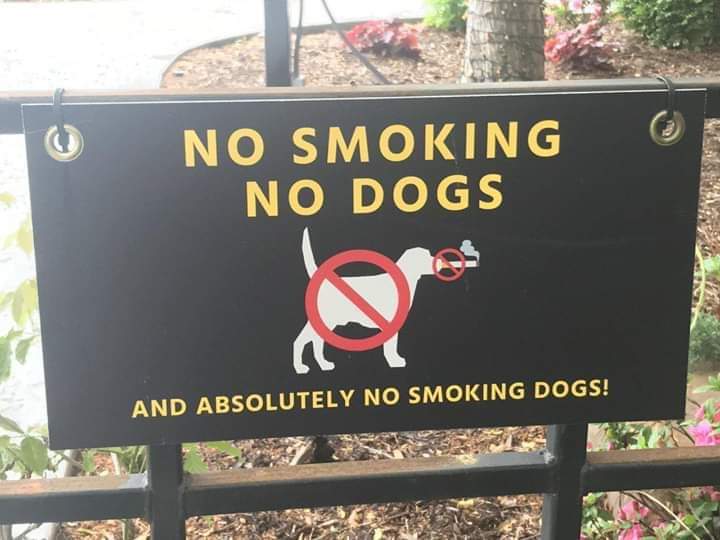 No smoking no dogs and absolutely no smoking dogs.