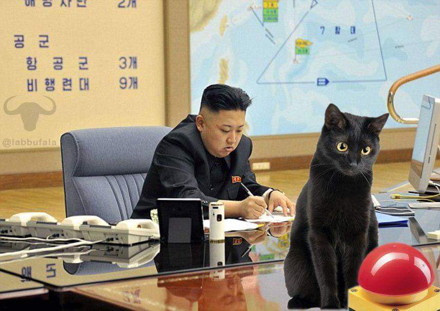 Kim Jong-un, un chat et le bouton nucléaire.