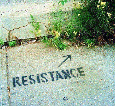 Résistance (mauvaise herbe).