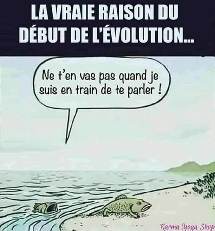 La vraie raison du début de l'évolution.
