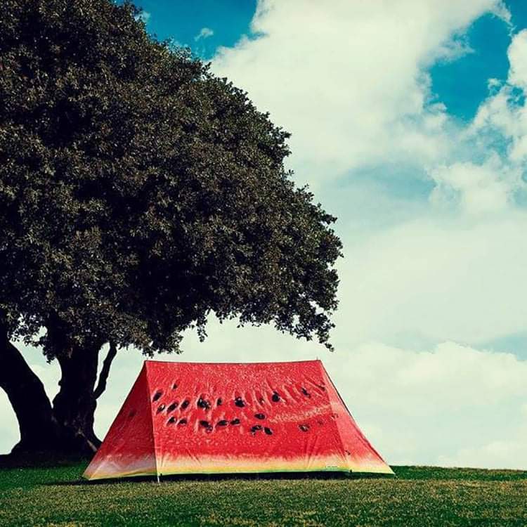 Une tente de camping en forme de part de pastèque.