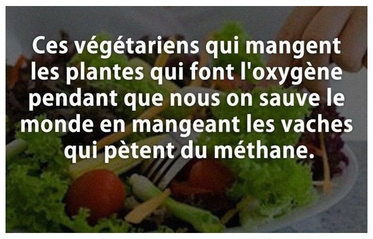 Ces végétariens qui mangent des plantes qui font l'oxygène pendant que nous on sauve le monde en mangeant les vachent qui pètent du méthane.