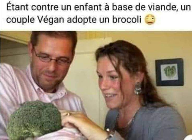 Etant contre un enfant à base de viande, un couple Végan adopte un brocoli.