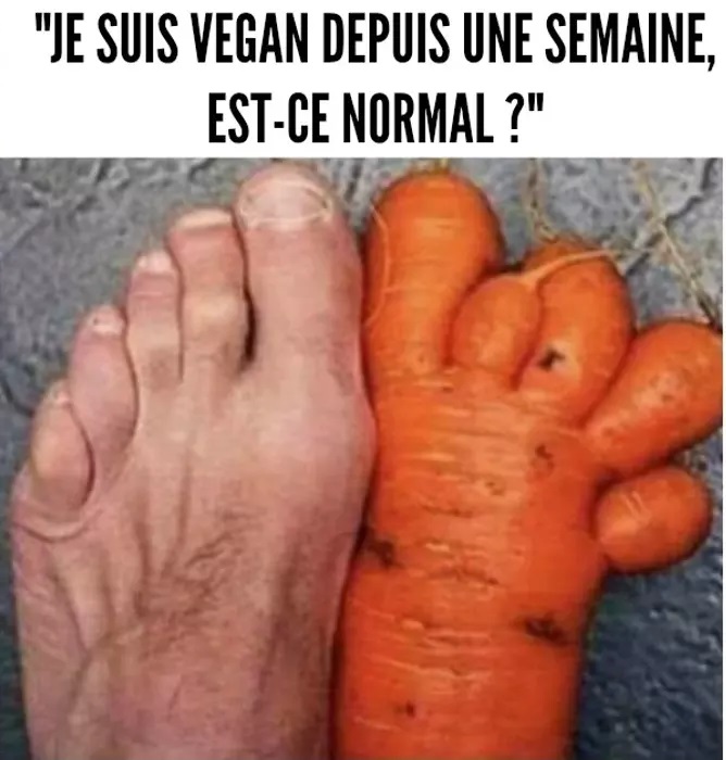 Humour images Comiques Dr les Vegans V ganisme V g taliens 