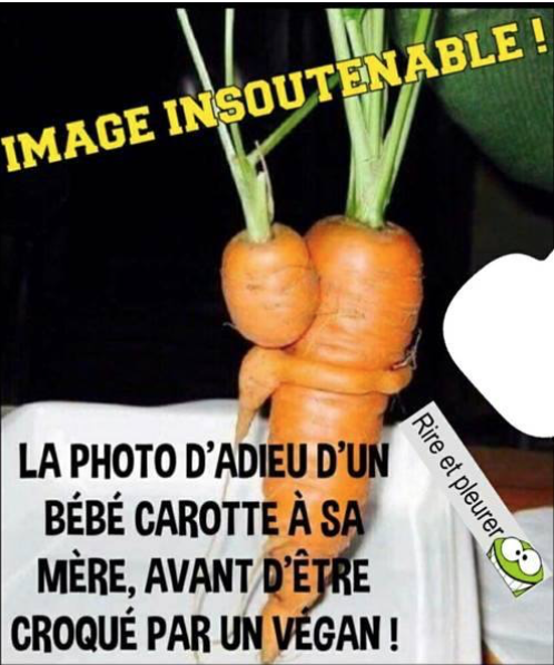 Humour images Comiques Dr les Vegans V ganisme V g taliens 